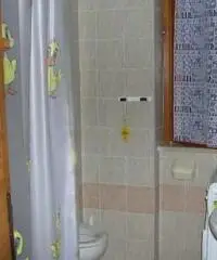 Appartamento in Affitto di 25mq Appartamento in Affitto di 25mq