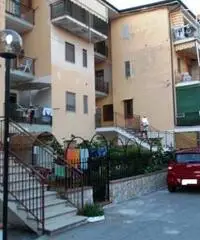 Appartamento a Santa Maria del Cedro in provincia di Cosenza Appartamento a Santa Maria del Cedro in provincia di Cosenza