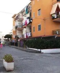 Appartamento a Santa Maria del Cedro in provincia di Cosenza Appartamento a Santa Maria del Cedro in provincia di Cosenza