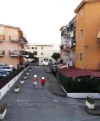 Appartamento a Santa Maria del Cedro in provincia di Cosenza Appartamento a Santa Maria del Cedro in provincia di Cosenza