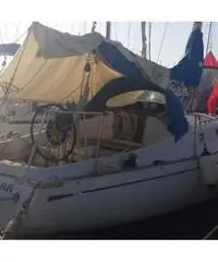 Alpa 11.50 Alpa 11.50