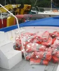 Gozzo di legno trasporto passeggeri mt 12 omologata 50 pax Gozzo di legno trasporto passeggeri mt 12 omologata 50 pax