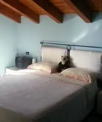 moneglia - MONEGLIA LOC. SAN LORENZO