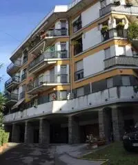 Sant'Anna – Golf: Vendita Cinque locali in Via del Castellino Sant'Anna – Golf: Vendita Cinque locali in Via del Castellino