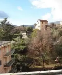 Vendita Bilocale in Via Rizzo Vendita Bilocale in Via Rizzo