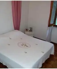 Vendita Quadrilocali in Via Privata Caravelle