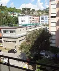 Vendita Trilocale in Via Sciesa