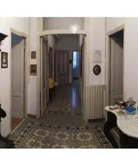 Vendita Cinque locali in Corso Felice Cavallotti Vendita Cinque locali in Corso Felice Cavallotti