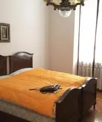 Vendita Cinque locali in Corso Felice Cavallotti Vendita Cinque locali in Corso Felice Cavallotti