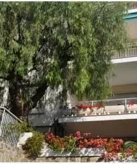 Vendita Trilocale in Via Privata Fratelli Asquasciati Vendita Trilocale in Via Privata Fratelli Asquasciati