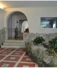 Vendita Trilocale in Via Privata Fratelli Asquasciati Vendita Trilocale in Via Privata Fratelli Asquasciati
