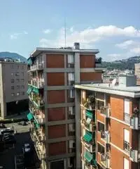 trilocale vicino mare trilocale vicino mare