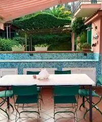 Villa delle Mimose Villa delle Mimose