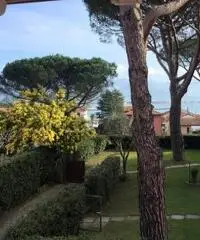 Villa delle Mimose