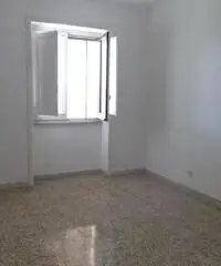 AMPIO QUADRILOCALE CON BOX E GIARDINETTO DI PERTINENZA AMPIO QUADRILOCALE CON BOX E GIARDINETTO DI PERTINENZA