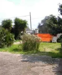 Casa indipendente in Vendita a Presicce