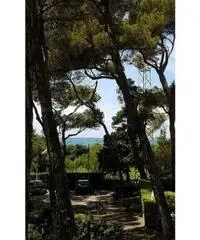 APPARTAMENTI - CIVILE ABITAZIONE - ROSIGNANO MARITTIMO APPARTAMENTI - CIVILE ABITAZIONE - ROSIGNANO MARITTIMO