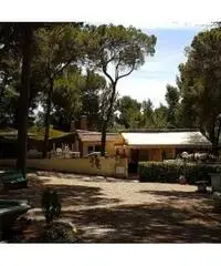 APPARTAMENTI - CIVILE ABITAZIONE - ROSIGNANO MARITTIMO APPARTAMENTI - CIVILE ABITAZIONE - ROSIGNANO MARITTIMO