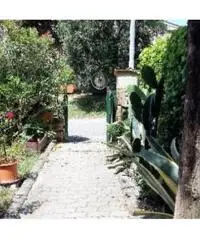 Appartamento in vendita a COLOGNOLE - Collesalvetti 67 mq Appartamento in vendita a COLOGNOLE - Collesalvetti 67 mq