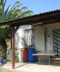 Terreno agricolo in vendita a Suvereto 10000 mq Terreno agricolo in vendita a Suvereto 10000 mq