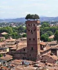 GENERICA - PALAZZO - LUCCA