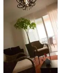 Vendita Trilocale in Viale Scarfiotti