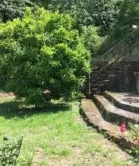 Casetta Forte dei Marmi Casetta Forte dei Marmi