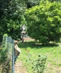 Casetta Forte dei Marmi Casetta Forte dei Marmi