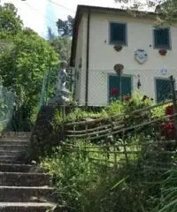 Casetta Forte dei Marmi Casetta Forte dei Marmi