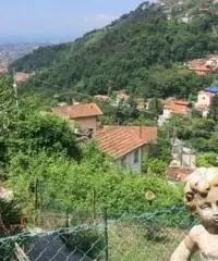 Casetta Forte dei Marmi Casetta Forte dei Marmi