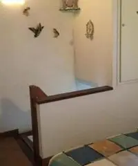 Casetta Forte dei Marmi Casetta Forte dei Marmi