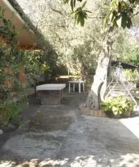 TAORMINA: Casa Singola Panoramica con Giardino