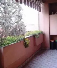 ECCELLENTE E RECENTE PLURILOCALE CON TERRAZZO - Appartamento in Vendita a Paderno Dugnano ECCELLENTE E RECENTE PLURILOCALE CON TERRAZZO - Appartamento in Vendita a Paderno Dugnano