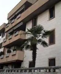 ECCELLENTE E RECENTE PLURILOCALE CON TERRAZZO - Appartamento in Vendita a Paderno Dugnano ECCELLENTE E RECENTE PLURILOCALE CON TERRAZZO - Appartamento in Vendita a Paderno Dugnano