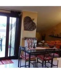 Appartamento in Vendita a Marcallo con Casone - Marcallo di 50 mq Appartamento in Vendita a Marcallo con Casone - Marcallo di 50 mq