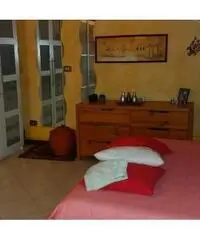 Appartamento in Vendita a Marcallo con Casone - Marcallo di 50 mq Appartamento in Vendita a Marcallo con Casone - Marcallo di 50 mq