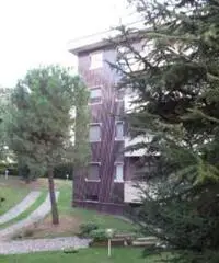 Vendita appartamento mq. 55 - Rho