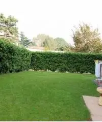 Vendita Bilocale in Via Fratelli Cervi, 11