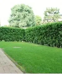 Vendita Bilocale in Via Fratelli Cervi, 11