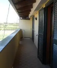 rifITI 013-AA22982 - Attico / Mansarda in Vendita a Giugliano in Campania - Licola di 85 mq rifITI 013-AA22982 - Attico / Mansarda in Vendita a Giugliano in Campania - Licola di 85 mq