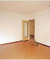 Ampio 2 locali con cantina a.... 39.000 Euro! Ampio 2 locali con cantina a.... 39.000 Euro!