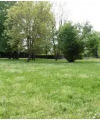 Peraga: Vendita Casa indipendente da 350mq