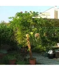 Vendita Villa da 2147483647mq