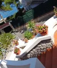 ALFA - AM014 - Villa con Piscina Zona Mare