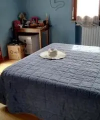 Attico vicino al centro di Colorno