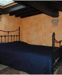 SPLENDIDO RUSTICO IN SASSO RISTRUTTURATO RECENTEMENTE E GIARDINO