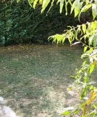 rif: AQ5916 - Appartamento in Vendita a Gossolengo rif: AQ5916 - Appartamento in Vendita a Gossolengo