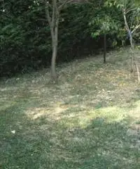 rif: AQ5916 - Appartamento in Vendita a Gossolengo rif: AQ5916 - Appartamento in Vendita a Gossolengo