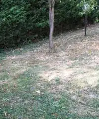 rif: AQ5916 - Appartamento in Vendita a Gossolengo rif: AQ5916 - Appartamento in Vendita a Gossolengo