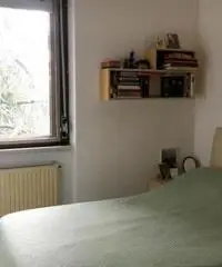 rif: CP141016 - Appartamento in Vendita a Rottofreno rif: CP141016 - Appartamento in Vendita a Rottofreno